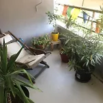 Apartamento Cozy Studio *