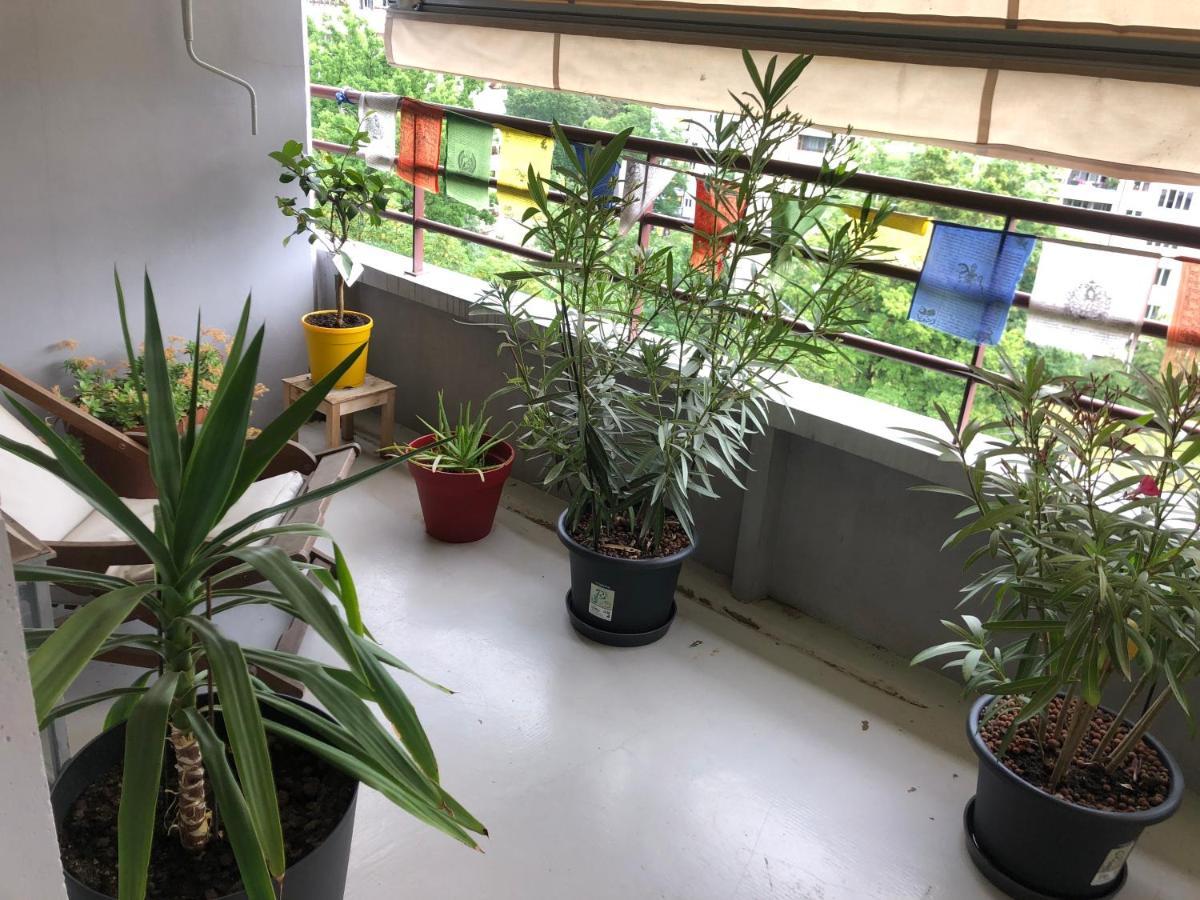 Apartment Cozy Studio Geneva