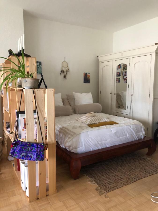 Cozy Studio Apartment